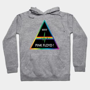 Why Pink Floyd? Hoodie